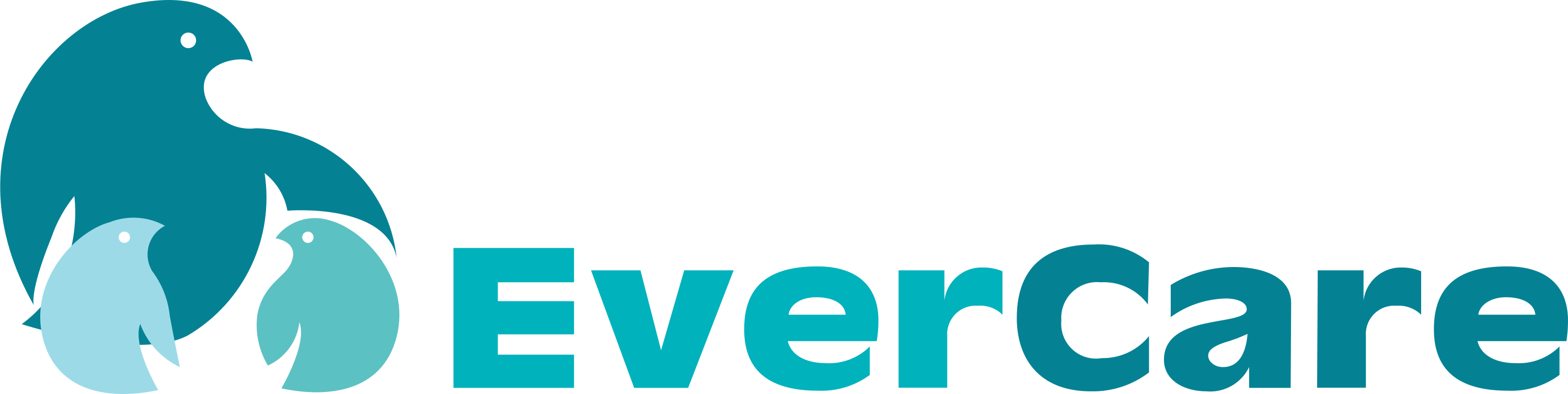 EverCare